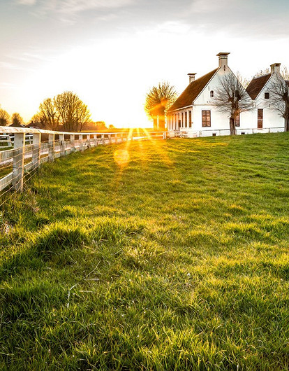 Приватизация земельного участка в 2023 году: инструкция для дачников