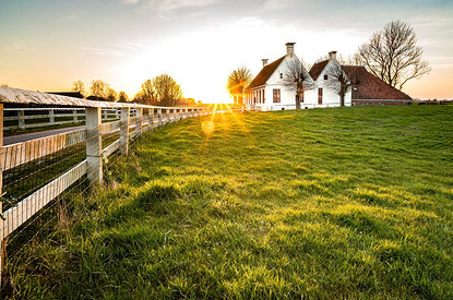 Приватизация земельного участка в 2023 году: инструкция для дачников