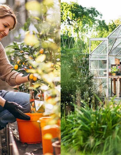 Лунный календарь садовода на май 2023 года: благоприятные и неблагоприятные дни для посадок