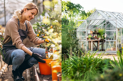 Лунный календарь садовода на май 2023 года: благоприятные и неблагоприятные дни для посадок