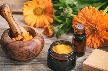 «Во-первых, это красиво»: какие лечебные травы стоит посадить на даче