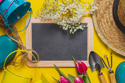 Время делать добрые дела: гороскоп для всех знаков зодиака с 8 по 14 мая