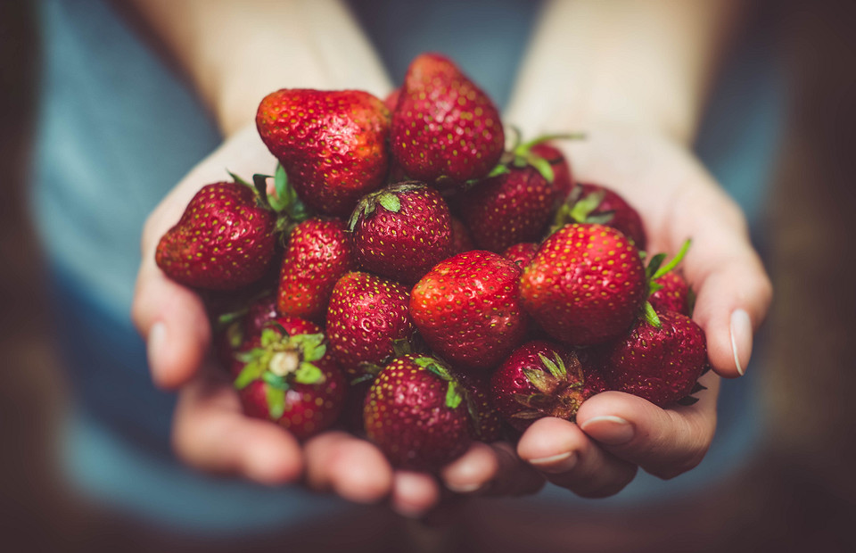 Маленькие да удаленькие: 12 самых полезных ягод