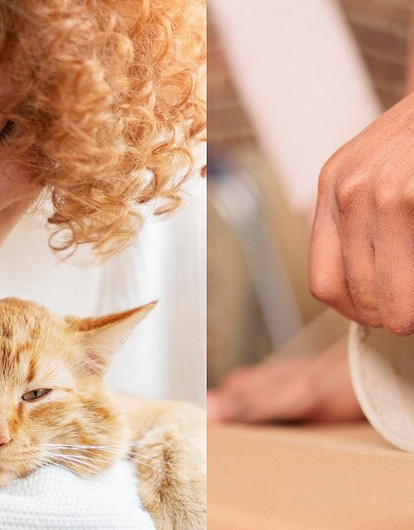 Как легко убрать шерсть животных с одежды: 5 простых советов