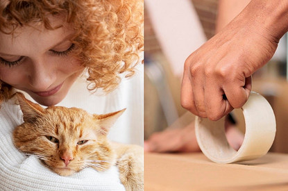 Как легко убрать шерсть животных с одежды: 5 простых советов