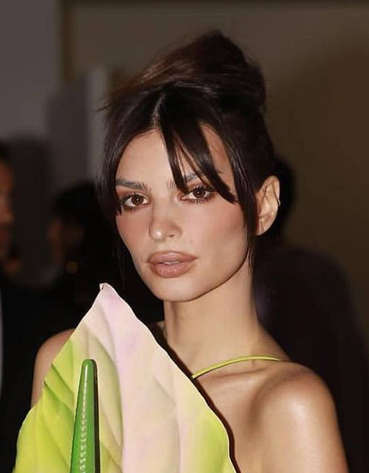 Тайный роман: Эмили Ратаковски встречается с Гарри Стайлсом