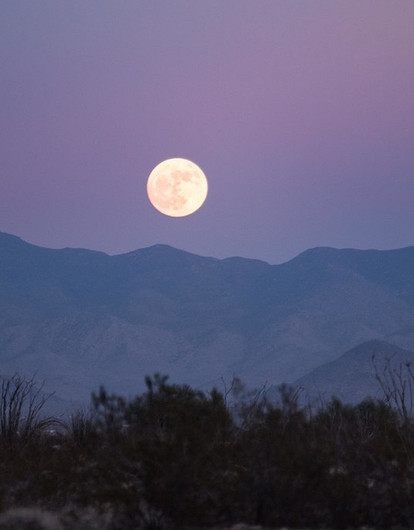 Лунный гороскоп для всех знаков зодиака с 10 по 16 апреля: советует астролог