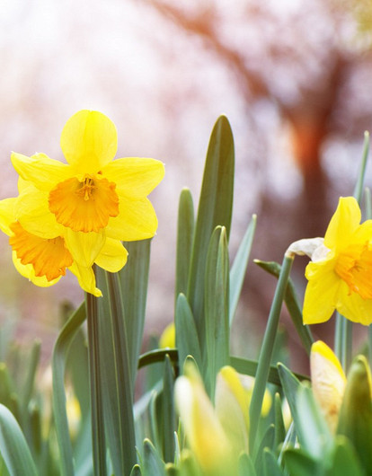 Гороскоп для всех знаков зодиака с 17 по 23 апреля: рекомендации астролога