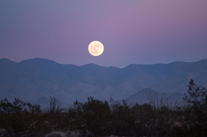 Лунный гороскоп для всех знаков зодиака с 10 по 16 апреля: советует астролог