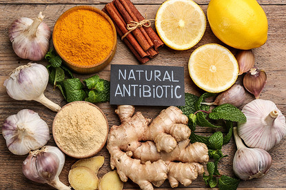 7 самых эффективных природных антибиотиков