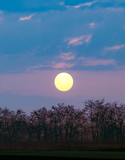 Лунный гороскоп для всех знаков зодиака с 22 по 28 мая: советы астрологов