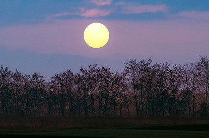 Лунный гороскоп для всех знаков зодиака с 22 по 28 мая: советы астрологов