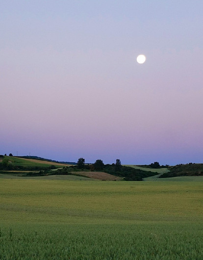 Лунный гороскоп для всех знаков зодиака с 29 мая по 4 июня