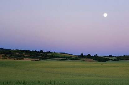 Лунный гороскоп для всех знаков зодиака с 29 мая по 4 июня