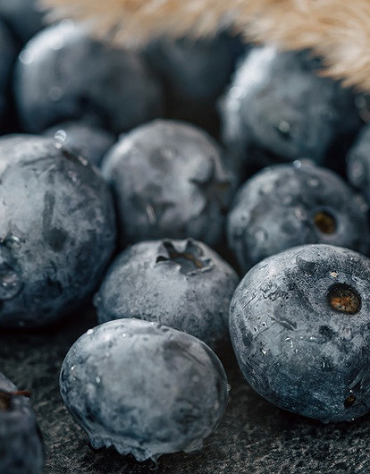 Ежевика или жимолость: какая ты летняя ягода по знаку зодиака