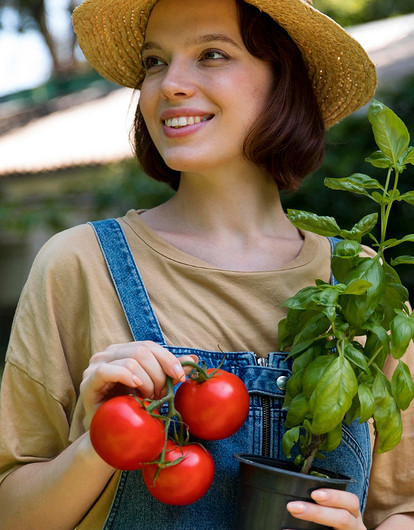 Огурец морковке друг: какие культуры можно сажать рядом на огороде
