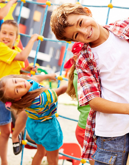 Посадить дерево и не только: 4 cпособа благоустроить двор многоквартирного дома, не нарушив закон