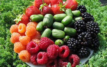 Фруктовый салат