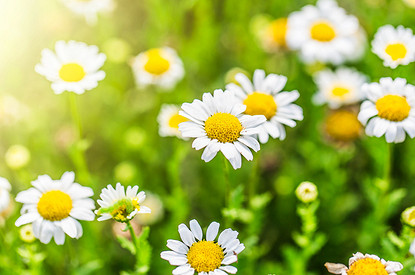 Макушка лета: гороскоп для всех знаков зодиака с 10 по 16 июля