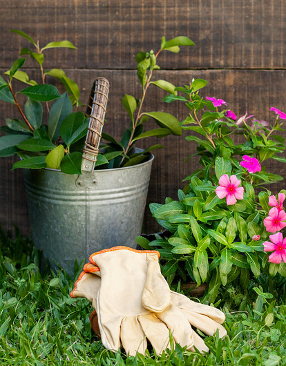 Моя экоферма: 5 шагов к «натуральному хозяйству» на дачном участке