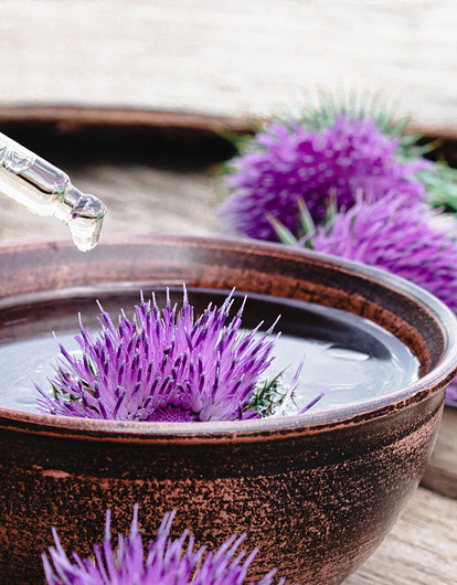 От расторопши до ледяного гриба: новые продвинутые ингредиенты в косметике