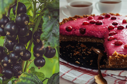 7 рецептов необычных и легких блюд из смородины