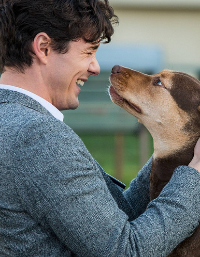Что делать, если пропала собака: 3 важных шага в первые часы самостоятельных поисков