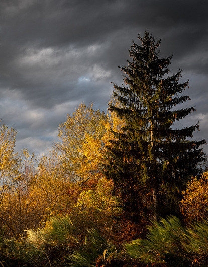 Лунный гороскоп для всех знаков зодиака с 21 до 27 августа: астрологи советуют