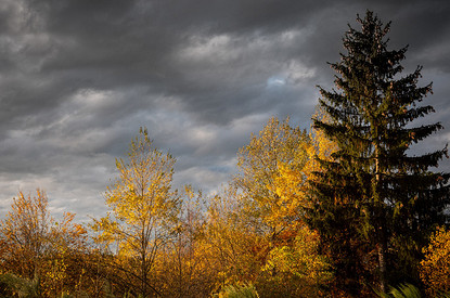Лунный гороскоп для всех знаков зодиака с 21 до 27 августа: астрологи советуют