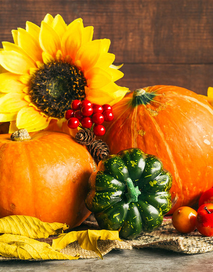 Осенины или Рождество Богородицы: история праздника, традиции и народные обычаи