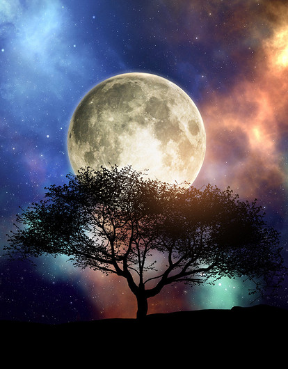 Лунный гороскоп для всех знаков зодиака с 4 по 10 сентября: советы астролога