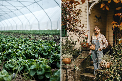 17 главных ошибок всех дачников в конце летнего сезона