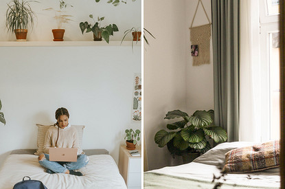 Зеленые убийцы: 20 растений, которые нельзя размещать в спальне