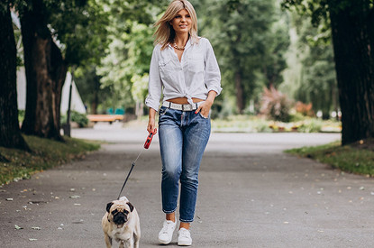 Как правильно выгуливать собаку: 4 совета, которые спасут от штрафов в 2023 году