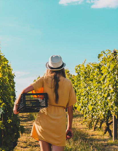 10 важных дел, которые нужно успеть сделать на даче до конца лета