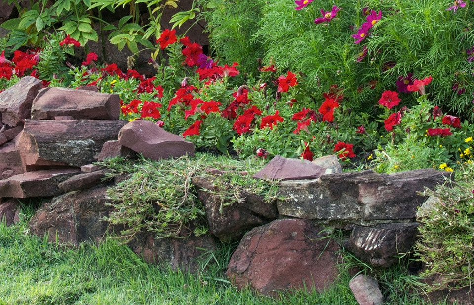 Уголок покоя и безмятежности: как создать сад камней на даче