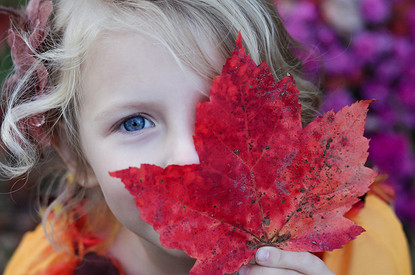 Осенний марафон: гороскоп для всех знаков зодиака с 2 по 8 октября