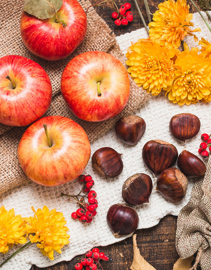 Что делать с урожаем осенних яблок: сушим, морозим, готовим пастилу и варим варенье