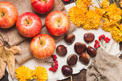 Что делать с урожаем осенних яблок: сушим, морозим, готовим пастилу и варим варенье