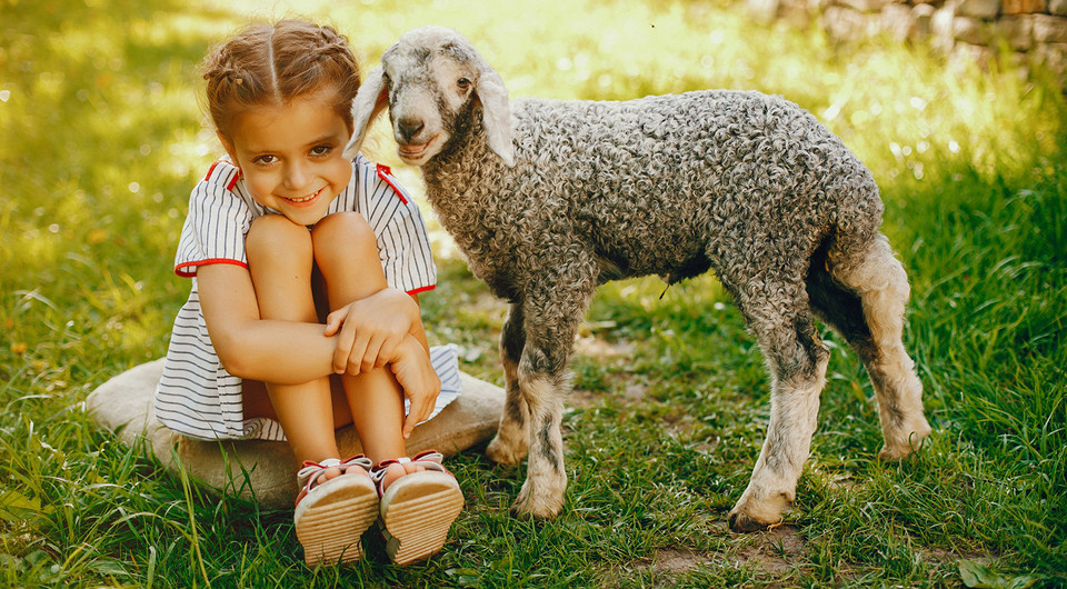 Как вести себя с животными: 7 «можно» и 10 «нельзя» для тебя и твоего ребенка