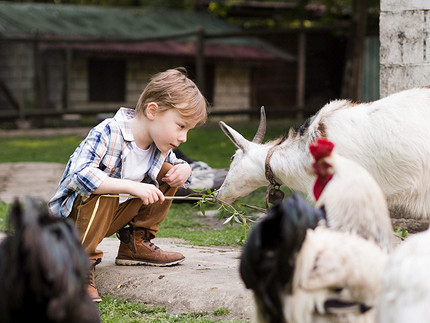 Как вести себя с животными: 7 «можно» и 10 «нельзя» для тебя и твоего ребенка