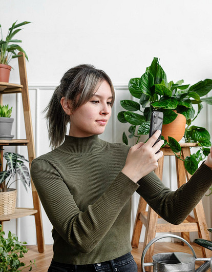 7 тенелюбивых комнатных растений для прихожей, гостиной или кухни: правильный выбор и уход