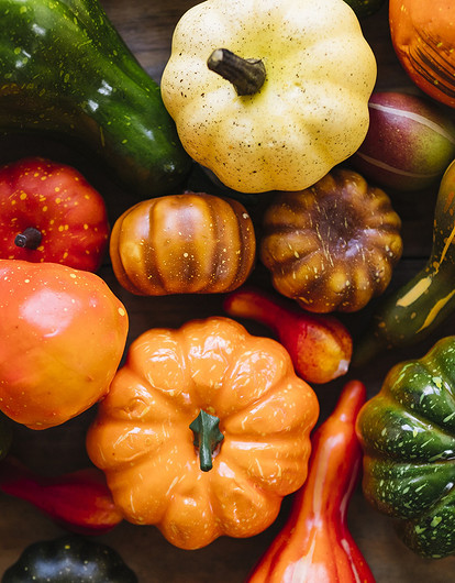 Как выбрать спелую тыкву по внешнему виду и сорту