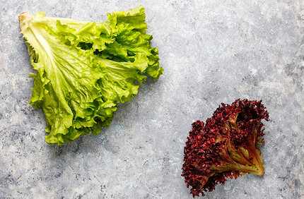Бутерброды с икрой: 25 вкусных и оригинальных идей для праздничного стола