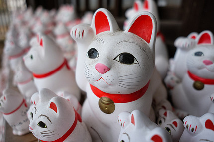 Кошки и коты: главные приметы и суеверия
