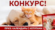 Конкурс! Выиграй календарь от «Лизы» Конкурс! Выиграй календарь от «Лизы»