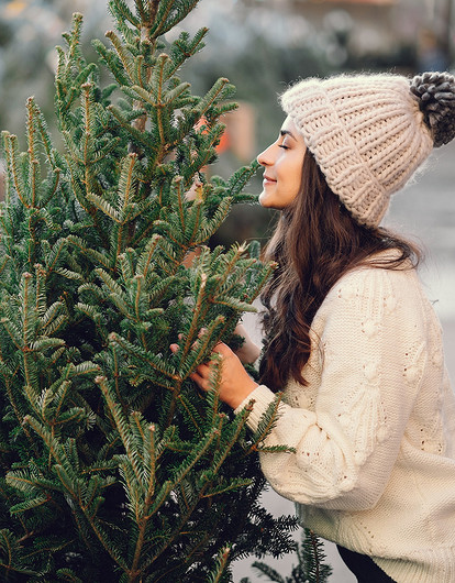 Куда сдать елку после Нового года: советы по утилизации живой и искусственной