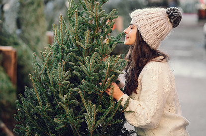 Куда сдать елку после Нового года: советы по утилизации живой и искусственной