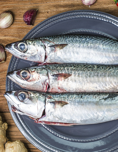 Как засолить скумбрию в домашних условиях: 12 лучших рецептов