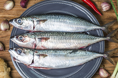 Как засолить скумбрию в домашних условиях: 12 лучших рецептов